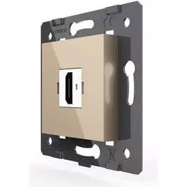 Розетка LIVOLO VL-FCHD-2AP