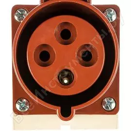 Розетка IEK PSR12-032-4