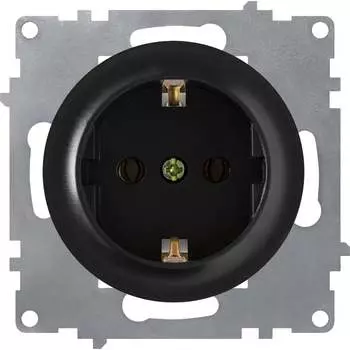 Розетка OneKeyElectro 2172811