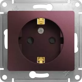 Розетка Schneider Electric