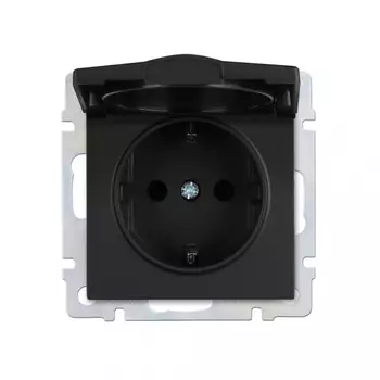 Розетка Smartbuy Нептун SBE-05b-16-S1-ZK