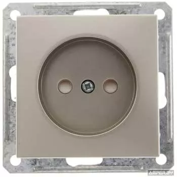 Розетка Systeme Electric WESSEN 59 RS16-151-4-86