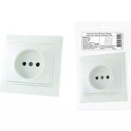 Розетка TDM Таймыр SQ1814-0511