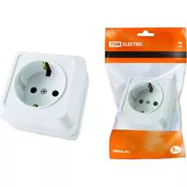 Розетка TDM ELECTRIC Ладога SQ1801-0111