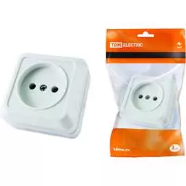 Розетка TDM ELECTRIC Ладога SQ1801-0110