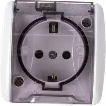 Розетка TDM ELECTRIC Селигер SQ1818-0007