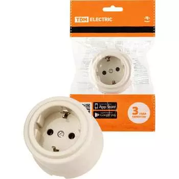 Розетка TDM ELECTRIC Виви SQ1820-1317