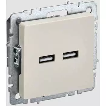 Розетка usb IEK Brite BR-U21-D31-K10