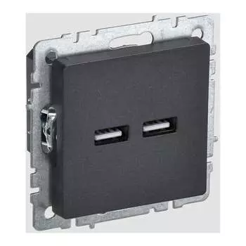 Розетка usb IEK Brite BR-U21-D31-K02