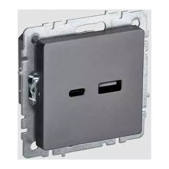 Розетка usb IEK Brite BR-U22-018-K46