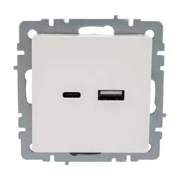 Розетка usb IEK Brite BR-U22-018-K01