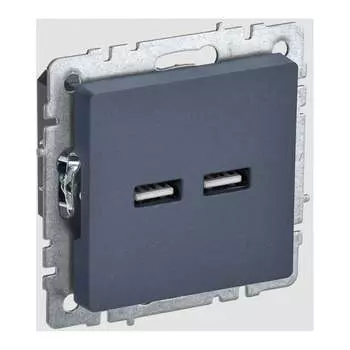 Розетка usb IEK Brite BR-U21-D31-K35