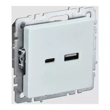 Розетка usb IEK Brite BR-U22-018-K36