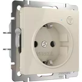 Розетка WERKEL a056421