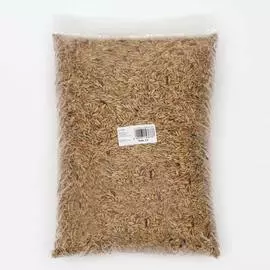 Рожь семена СИМАЛЕНД