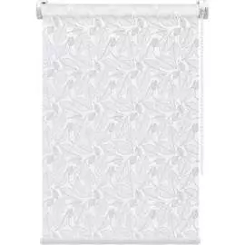 Рулонная штора FixLine AMIGO AMIGO SHADE 20204