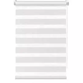 Рулонная штора FixLine AMIGO AMIGO BASE День-Ночь 21164