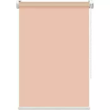 Рулонная штора FixLine AMIGO AMIGO BASIC 20134