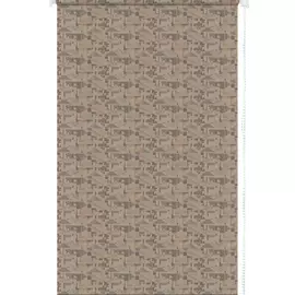 Рулонная штора ПраймДекор Оделис 24052076