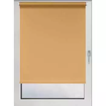 Рулонная штора PRAKTO Easy 8316744