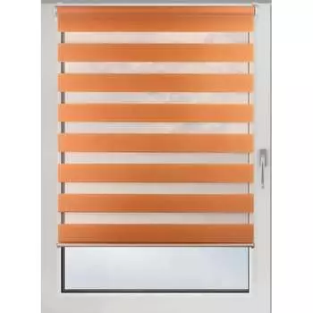 Рулонная штора PRAKTO Day&Night 59971858