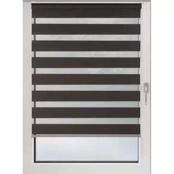 Рулонная штора PRAKTO Day&Night 8311855