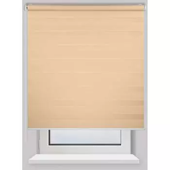 Рулонная штора PRAKTO Day&Night 8312166