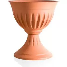 Рюмка Bama Spa Alba 31900 053808