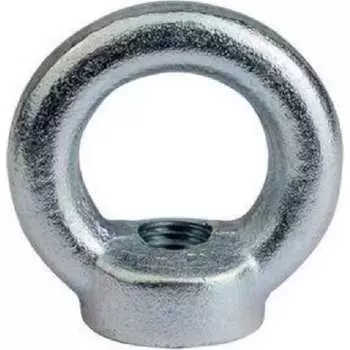 Рым-гайка Невский Крепеж DIN 582, М6, нерж. сталь 825042