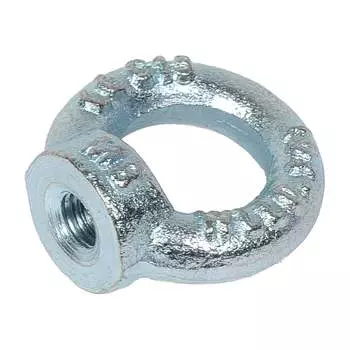 Рым гайка СВК DIN 582 Н0000026856