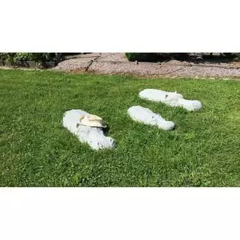 Садовая фигура Дигрус