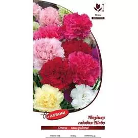Садовая гвоздика семена Агрони