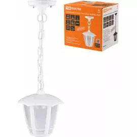 Садово-парковый подвесной светильник TDM ELECTRIC СИТИ НСУ 07-60-002 SQ0330-1318