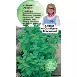 Садовый майоран семена ОКТЯБРИНА ГАНИЧКИНА