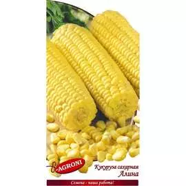 Сахарная кукуруза семена Агрони АЛИНА 7453