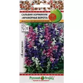 Сальвия хорминум семена РУССКИЙ ОГОРОД