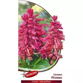 Сальвия семена Агрони