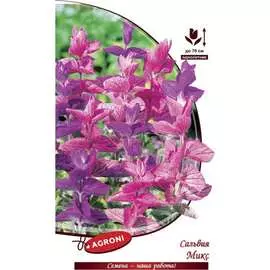 Сальвия семена Агрони