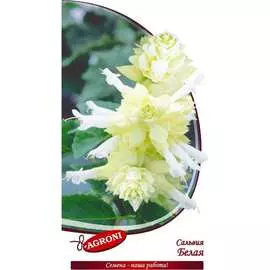 Сальвия семена Агрони
