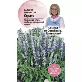 Сальвия семена ОКТЯБРИНА ГАНИЧКИНА