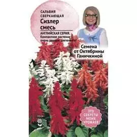 Сальвия семена ОКТЯБРИНА ГАНИЧКИНА сверкающая Сизлер 120130
