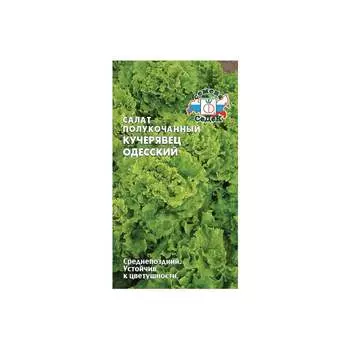 Салат СеДек Кучерявец Одесский (полукочанный) ДУ. Евро, 0,5 I0000013090