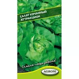 Салат семена Агрони