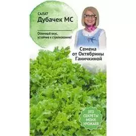 Салат семена ОКТЯБРИНА ГАНИЧКИНА Дубачек МС 119150
