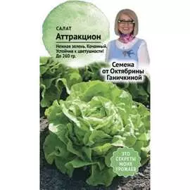 Салат семена ОКТЯБРИНА ГАНИЧКИНА
