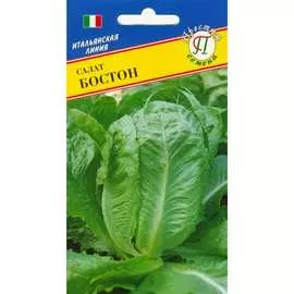 Салат семена Престиж-Семена Бостон 00003356