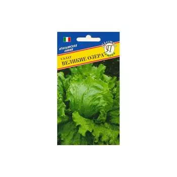 Салат семена Престиж-Семена Великие озера 00003357