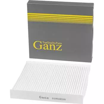 Салонный фильтр для MITSUBISHI, NISSAN, PEUGEOT Ganz GIR03029