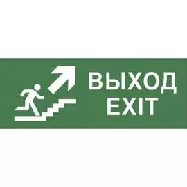Самоклеящаяся этикетка ЭРА INFODBA014 Выход/лестница вверх/фигура Б0048466