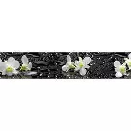 Самоклеящаяся пленка для кухни ООО ДЕКОР ТРЕЙДИНГ